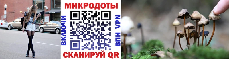 MEGA tor  Игарка  Галлюциногенные грибы мицелий 