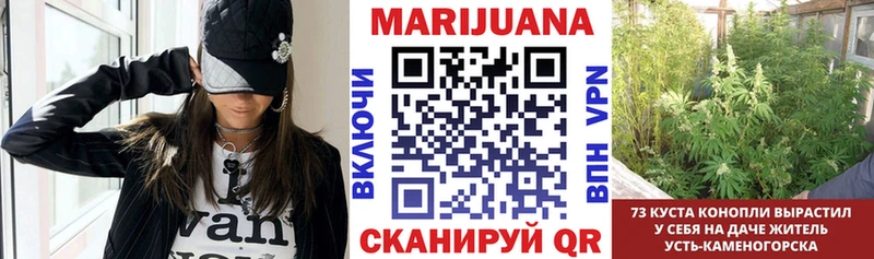 Бошки марихуана Amnesia  наркошоп  Игарка 